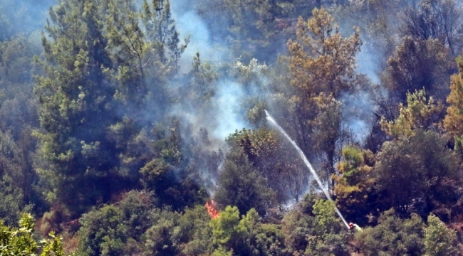 Antalya'daki orman yangını kontrol altına alındı - Asayiş ...