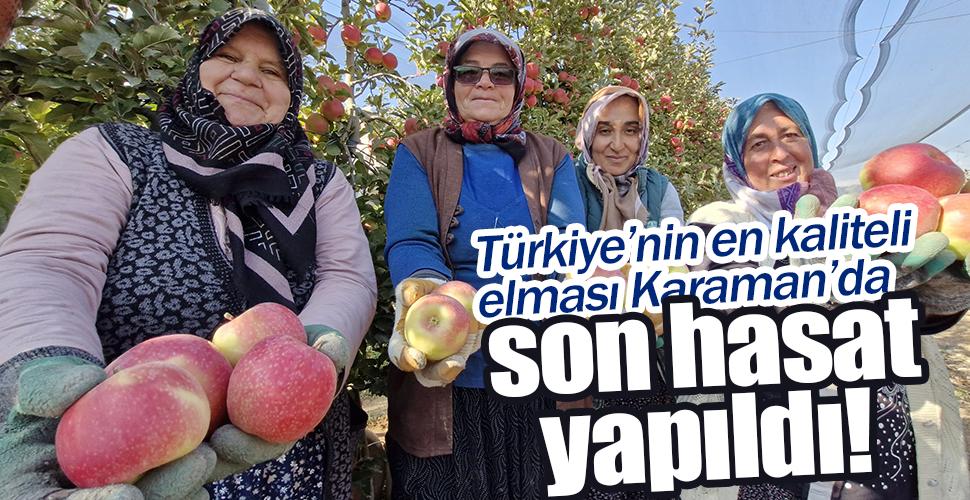 Türkiye'nin elma deposunda son hasat yapılıyor