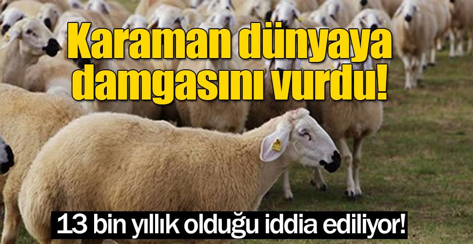 Karaman dünyaya damgasını vurdu