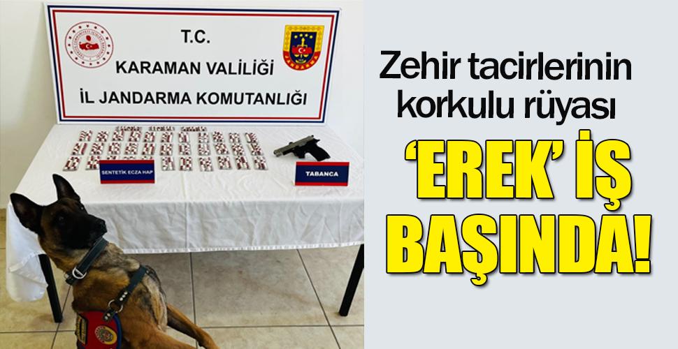 Uyuşturucuya Geçit Yok: Karaman Jandarması ve Erek İş Başında!